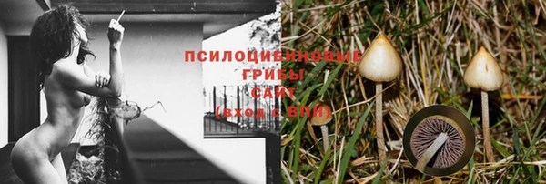 амф Лабытнанги