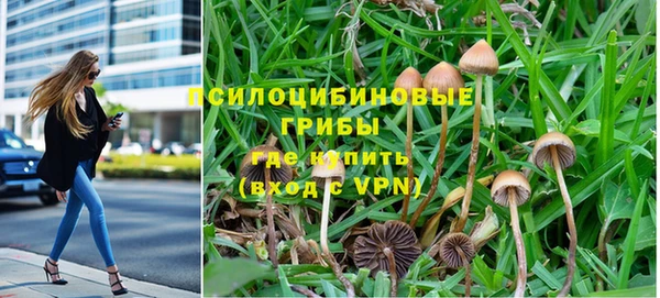 амф Лабытнанги