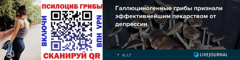 Купить  Жигулёвск  Псилоцибиновые грибы мухоморы 